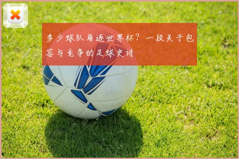 多少球队角逐世界杯？一段关于包容与竞争的足球史诗