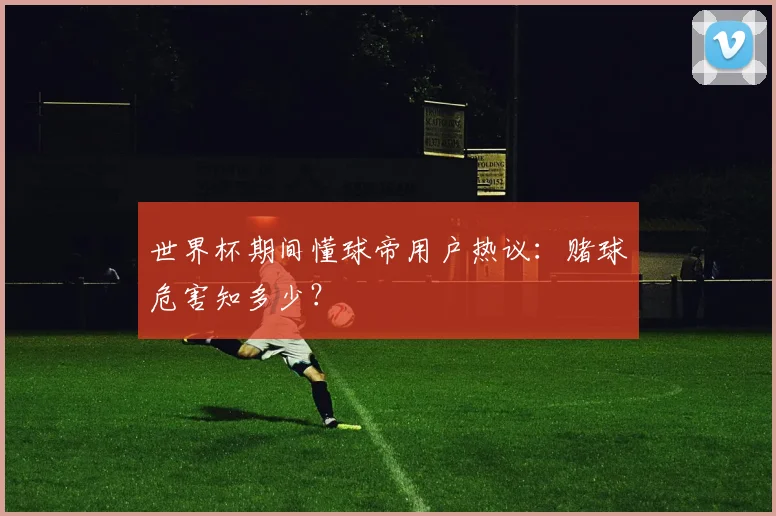 世界杯期间懂球帝用户热议：赌球危害知多少？