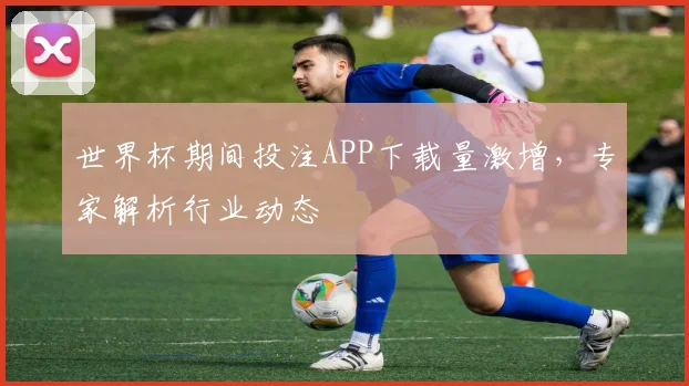 世界杯期间投注APP下载量激增，专家解析行业动态