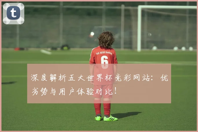 深度解析五大世界杯竞彩网站:优劣势与用户体验对比!